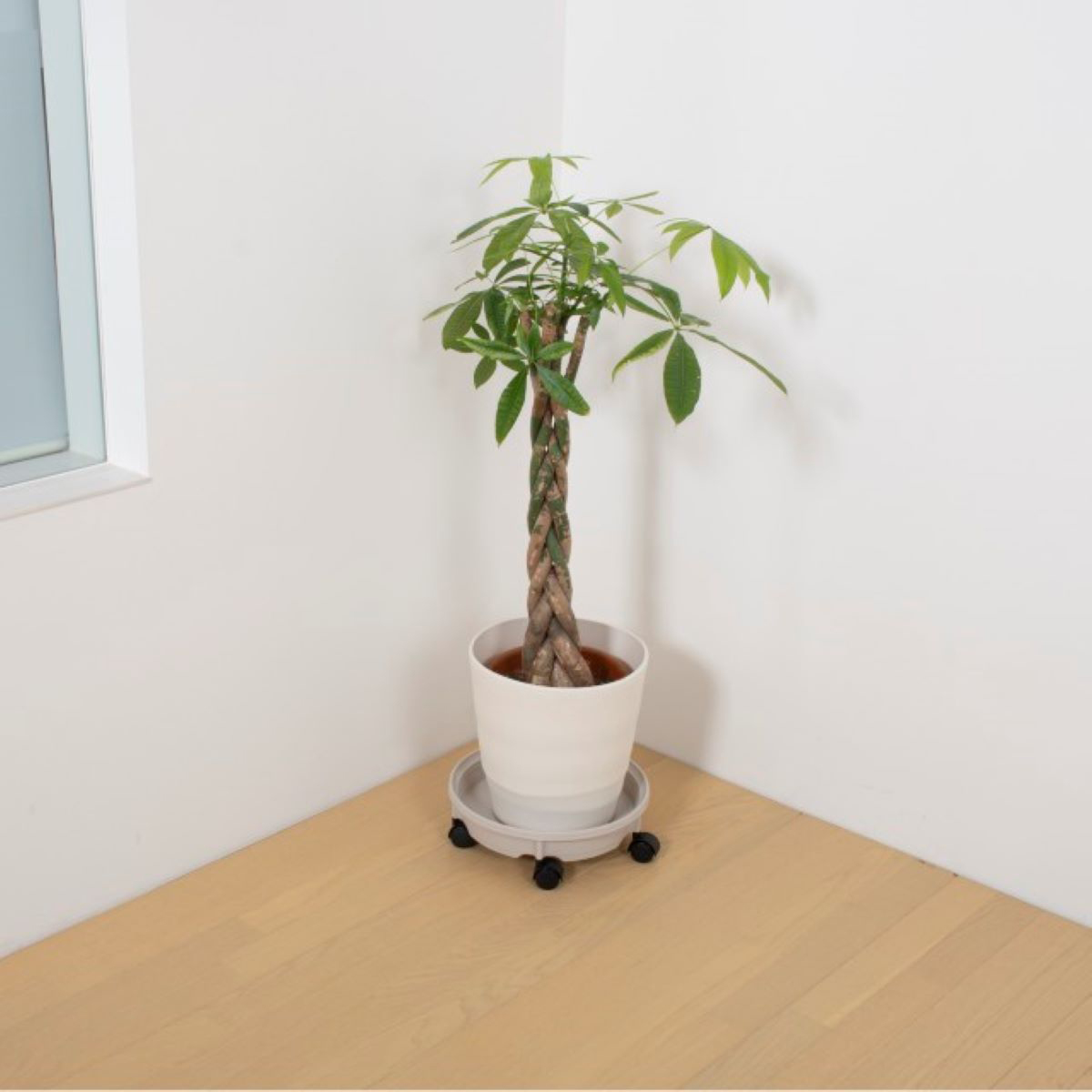 グリーンパル　ハチウケプレート３５型　モカアイボリー