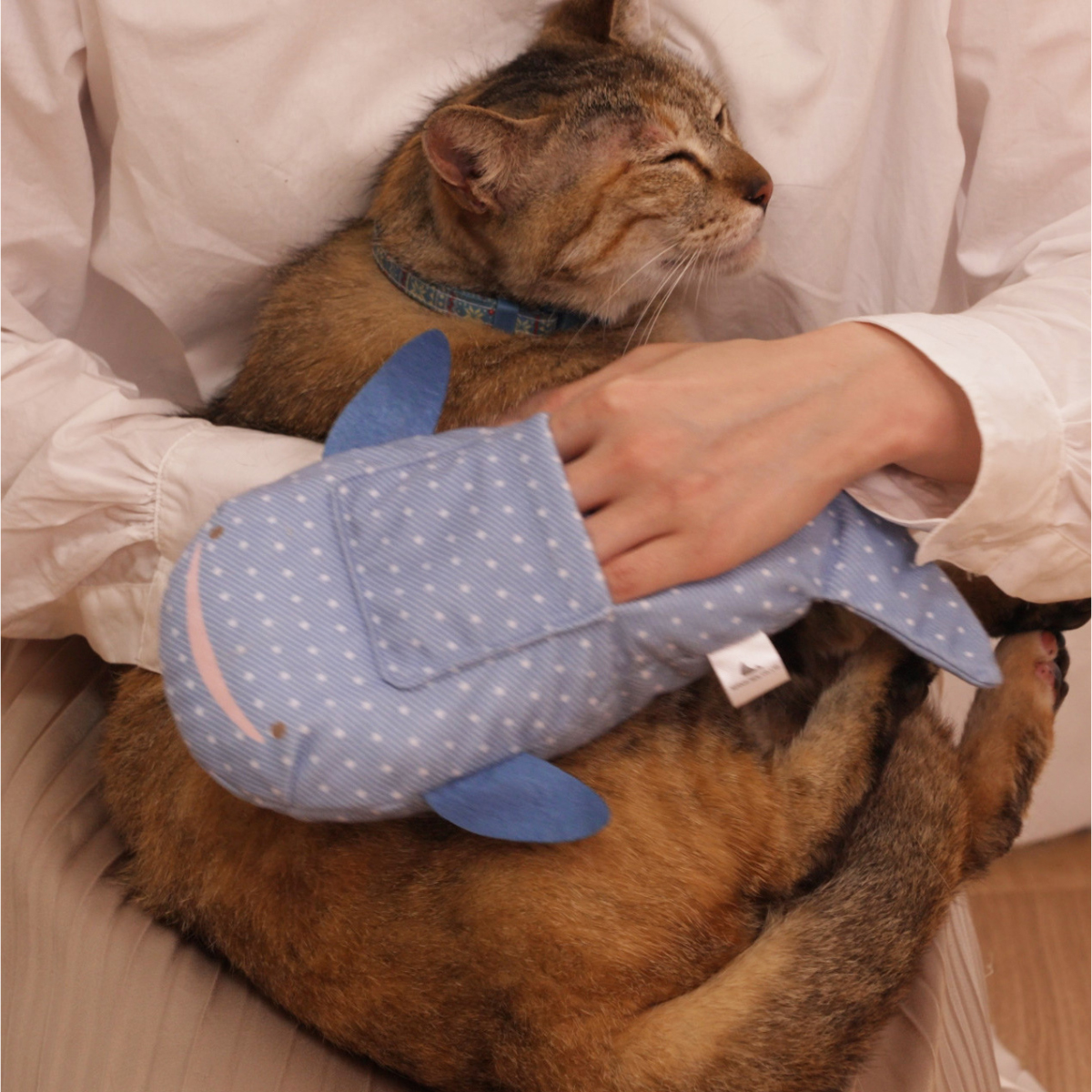 日本シール　にゃんとも猫舌ぐるみ　ジンベイザメ　