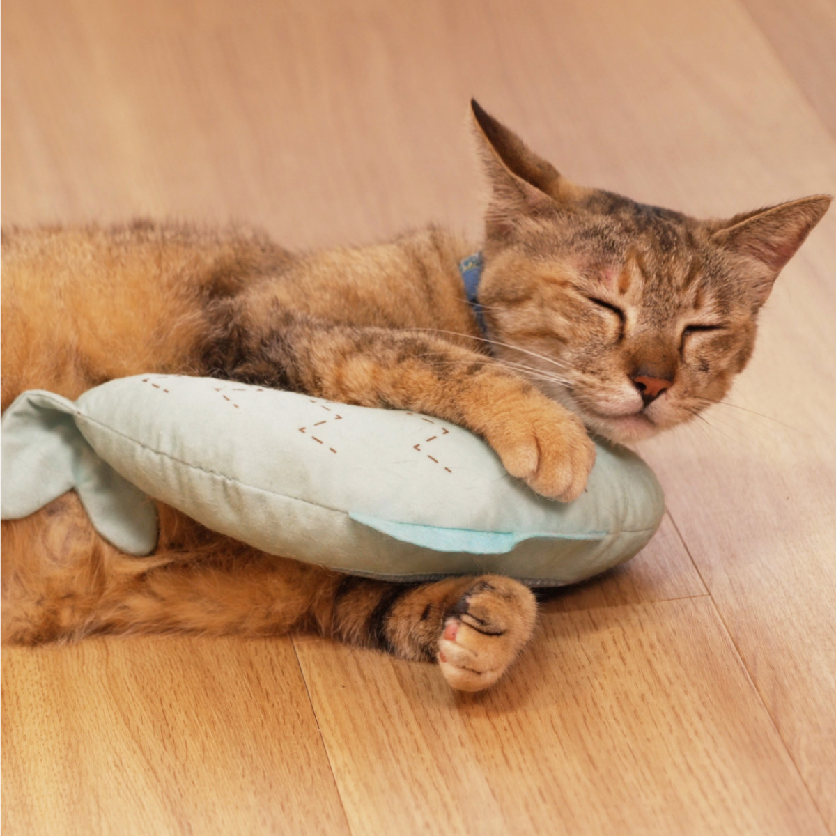 日本シール　にゃんとも猫舌ぐるみ　サカナ