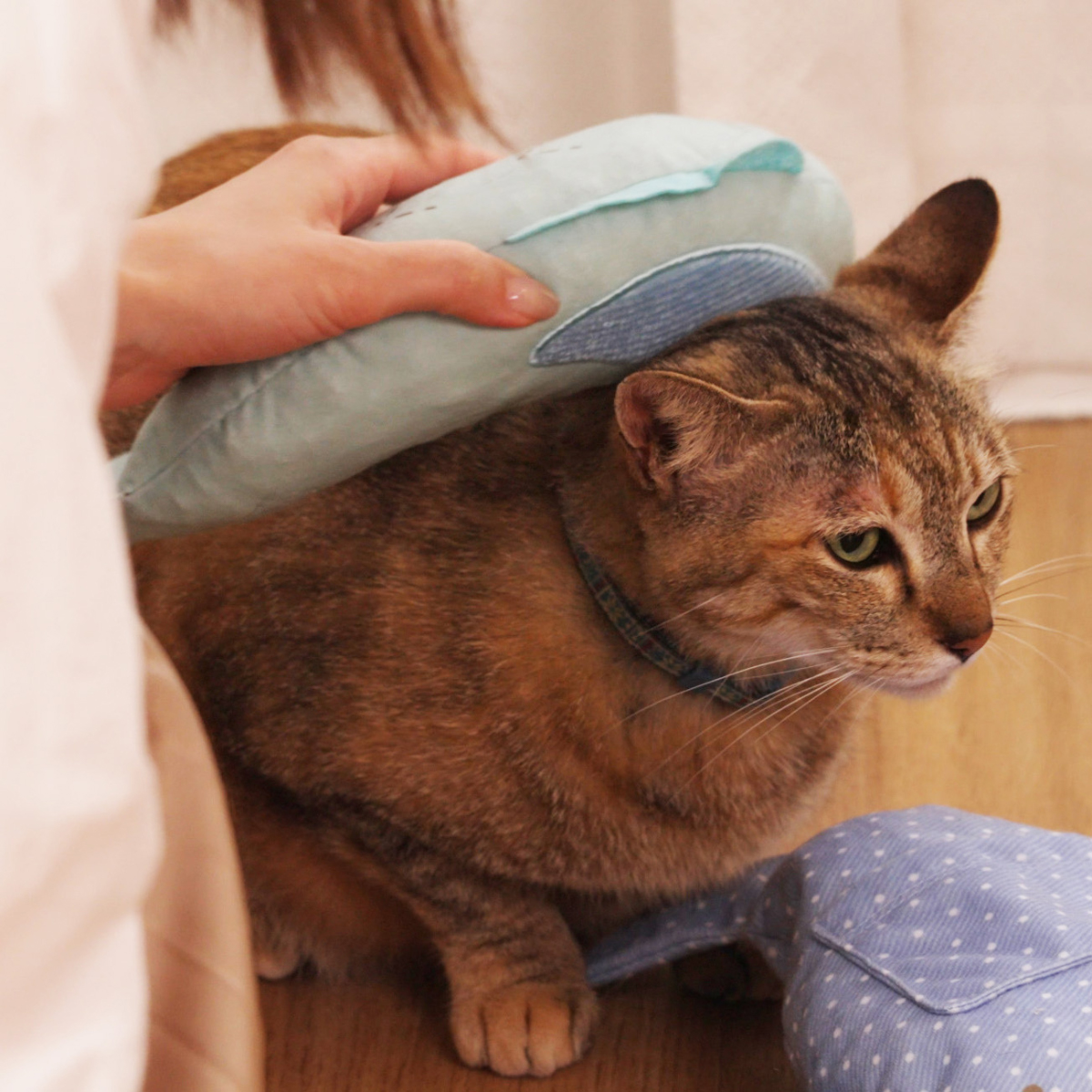 日本シール　にゃんとも猫舌ぐるみ　サカナ