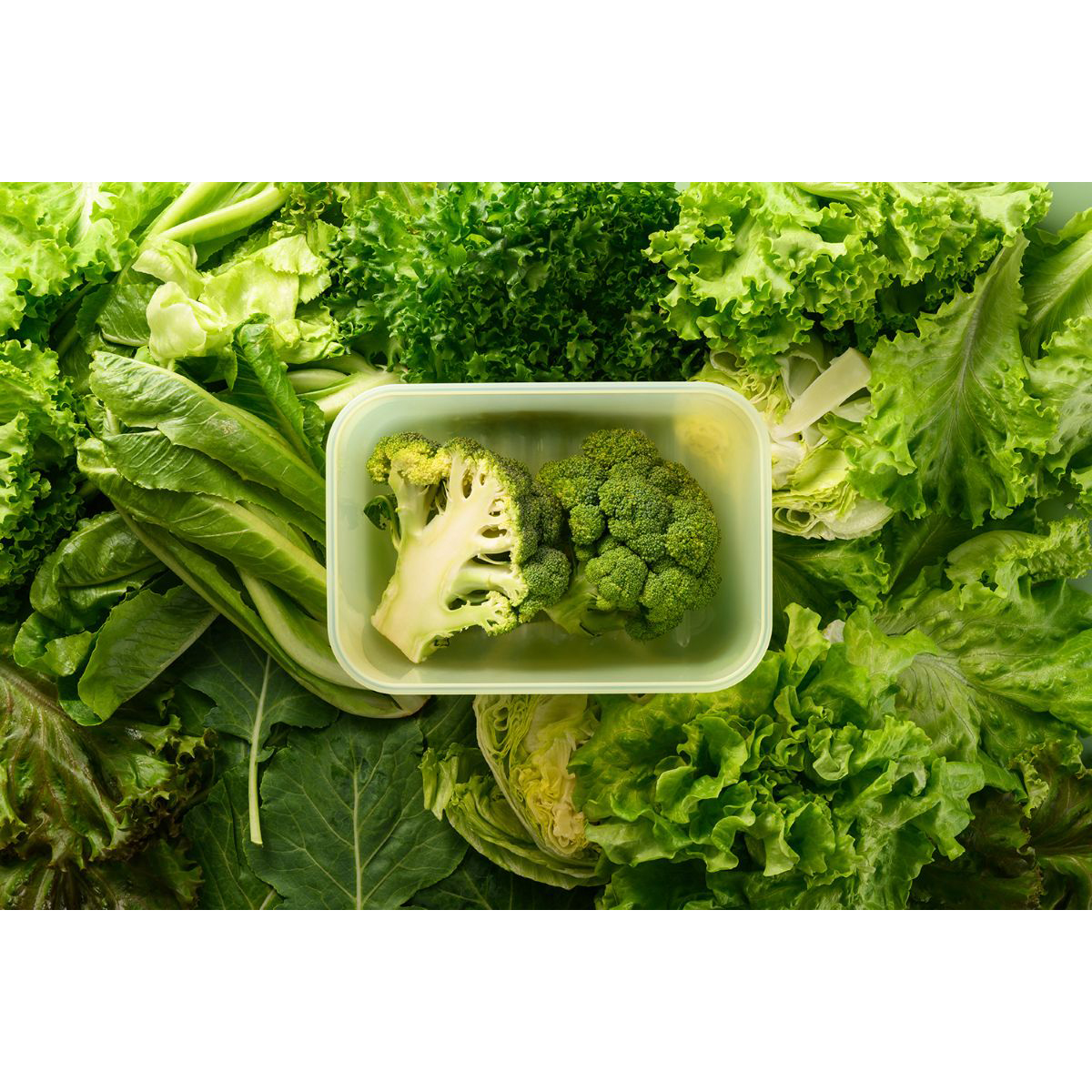 LIV PLUS　ロック＆ロック　キープフレッシュ３３０ｍｌ