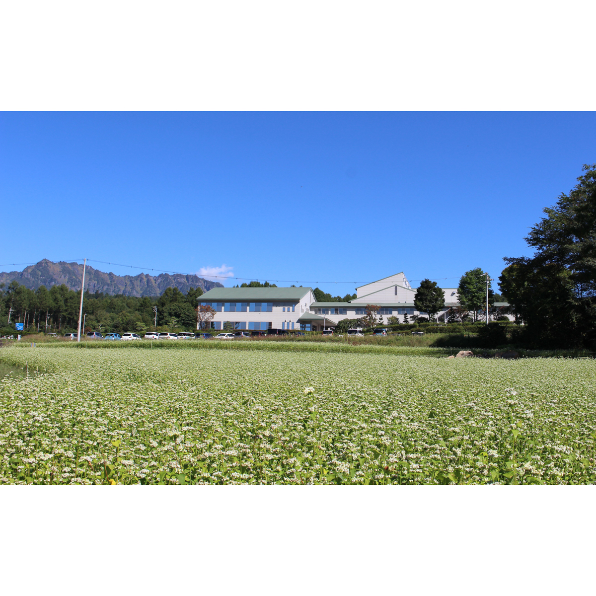 信州戸隠そば 260131