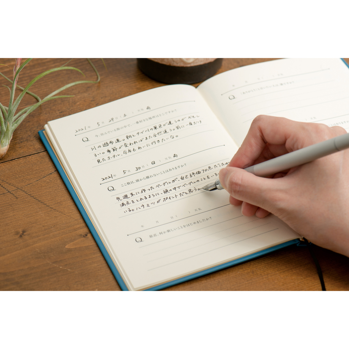 問いかけ日記
