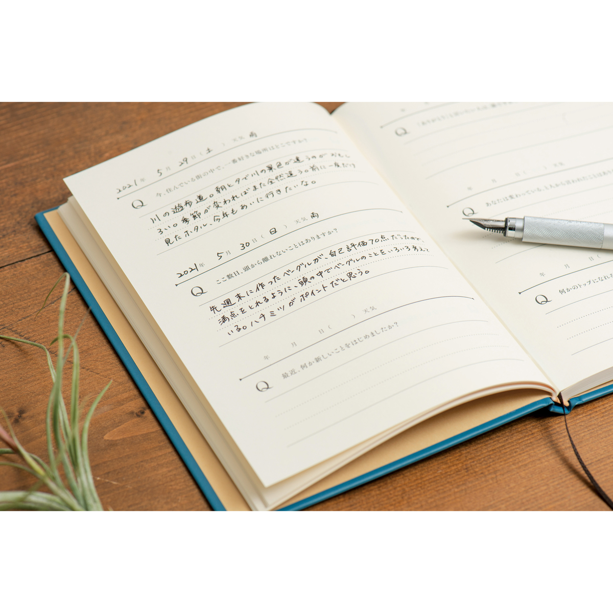 問いかけ日記