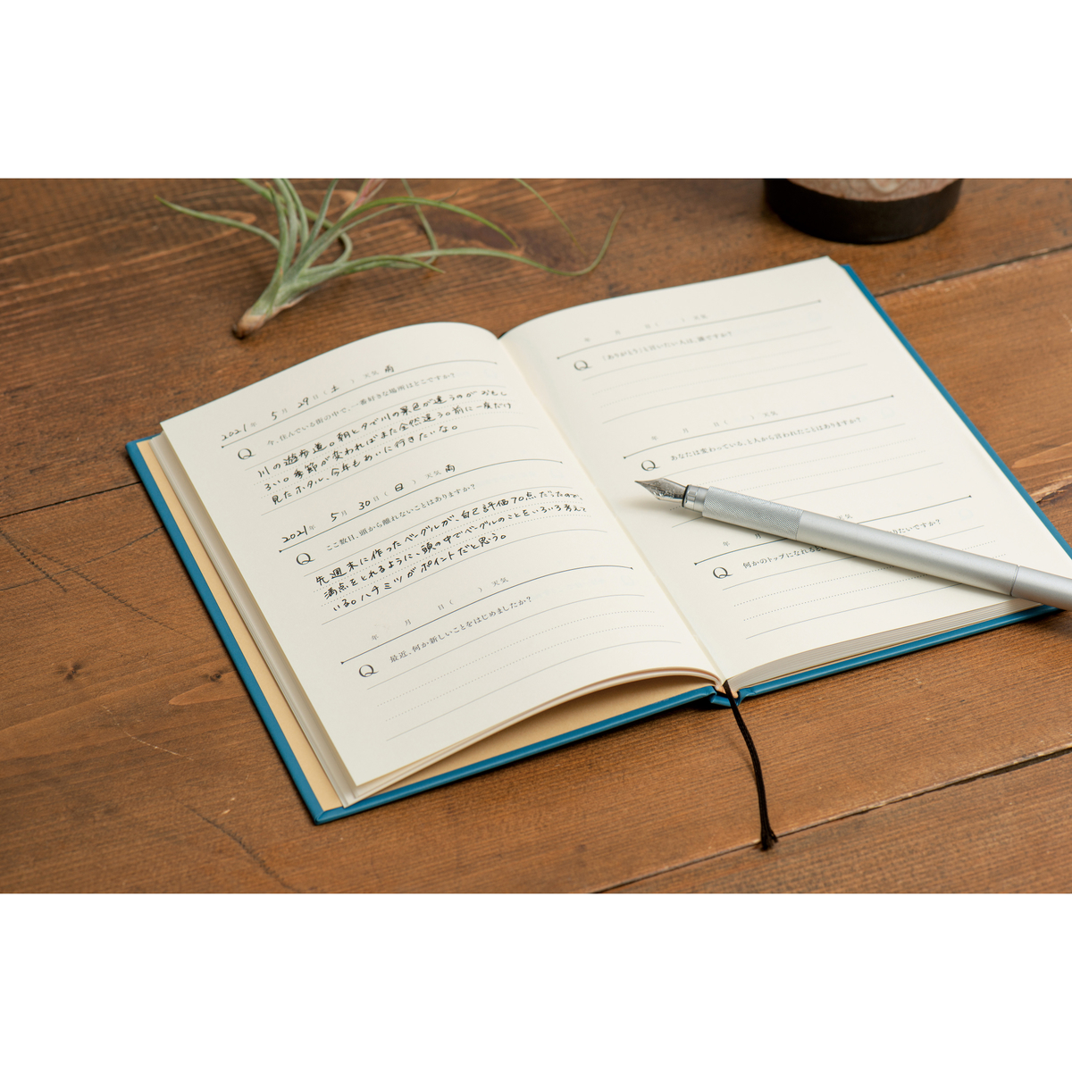 問いかけ日記