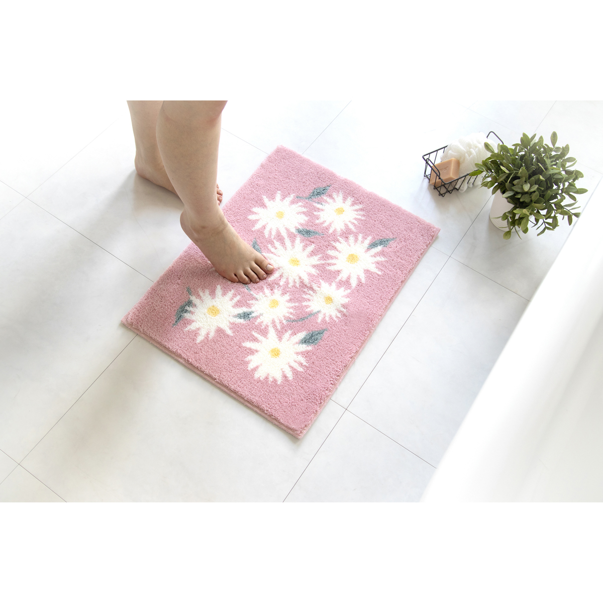 乾度良好　ピュアデイジー　P　36×55cm