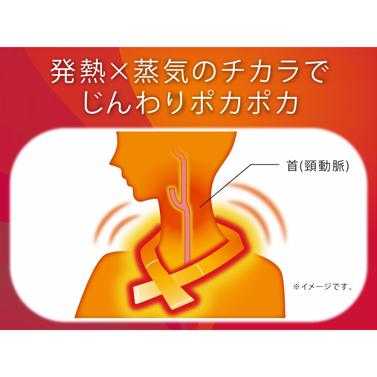 温ループ（24個入）