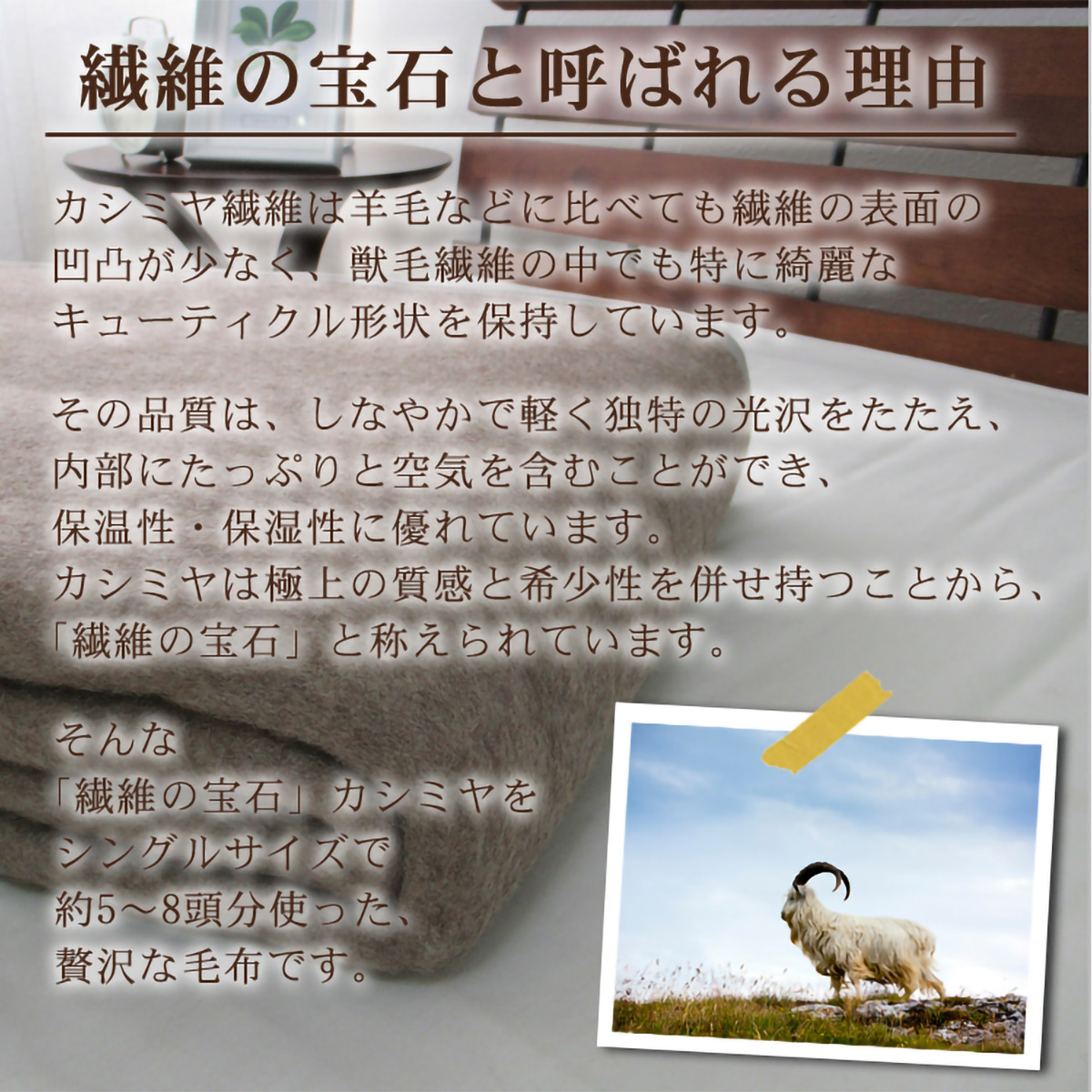泉大津産カシミヤ毛布(140 ×200)