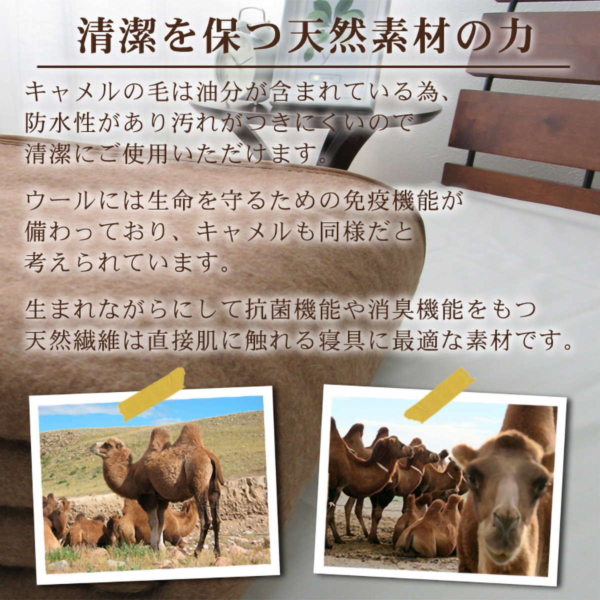 泉大津産キャメル毛布(140 ×200)
