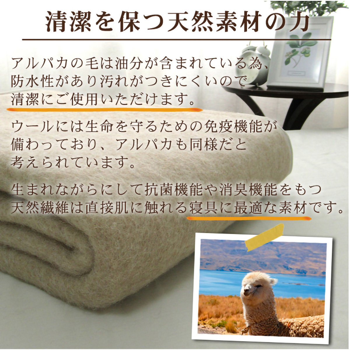 泉大津産アルパカ毛布(140 ×200)