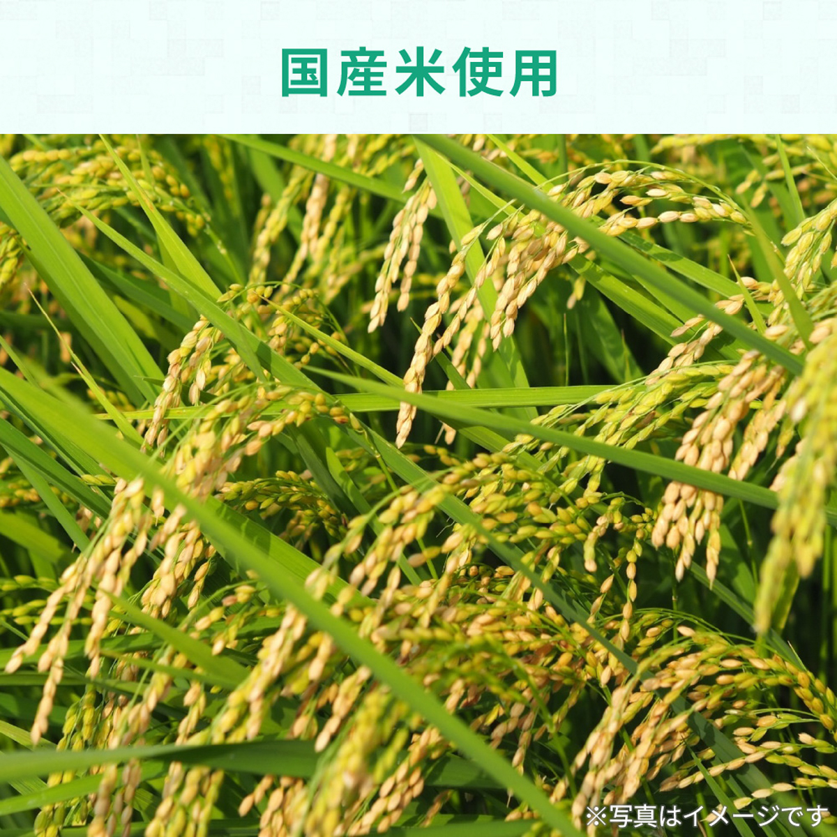 赤ちゃんのやわらかパックごはん 7ヵ月 260731