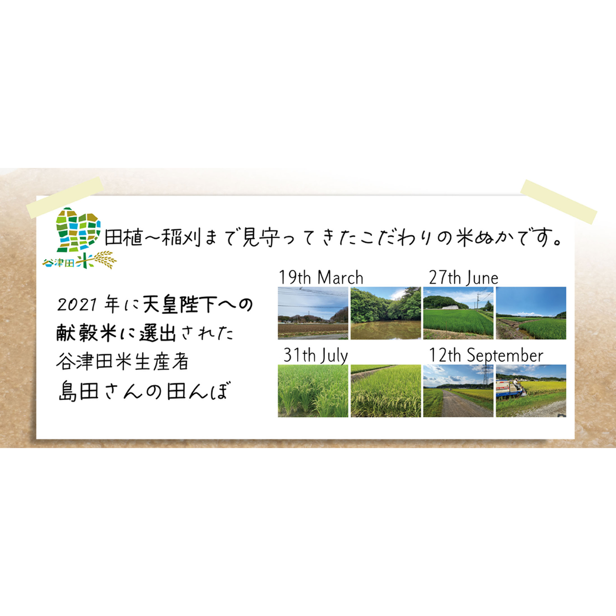 ピーズルーツ　米ぬか・酵素洗顔パウダー