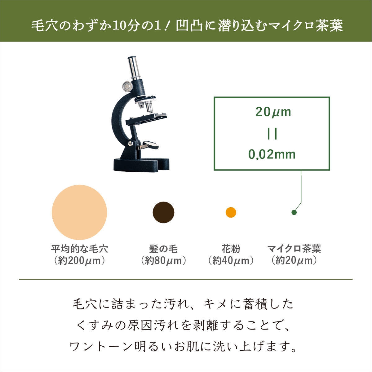 ピーズルーツ　茶葉・ビタミンＣ洗顔パウダー