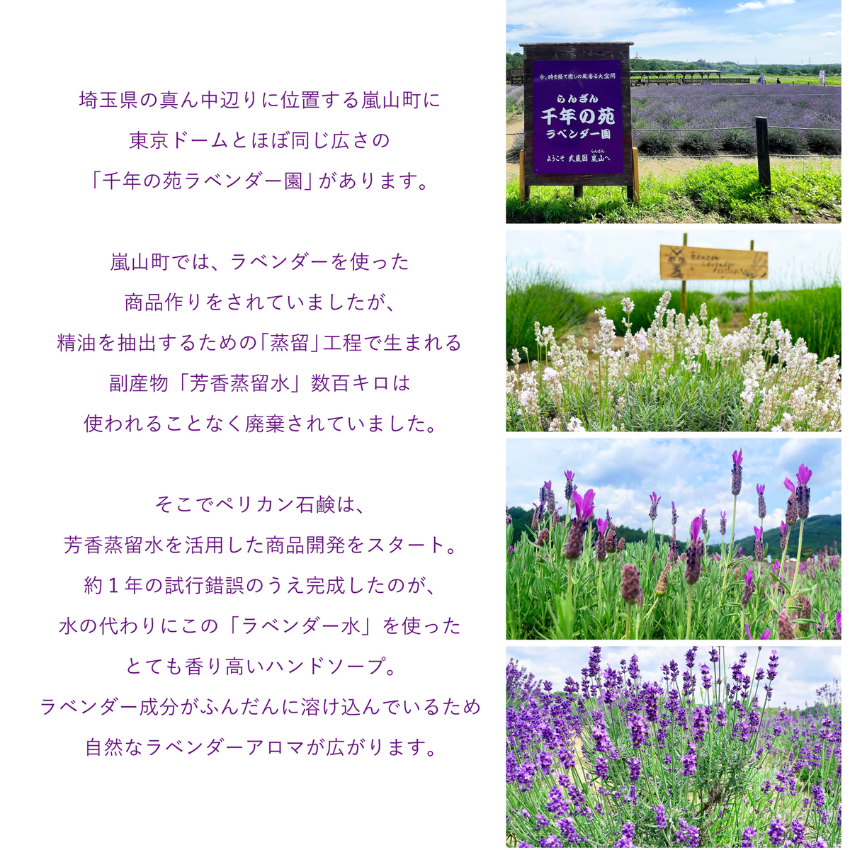 ピーズルーツ　ラベンダーハンドソープ