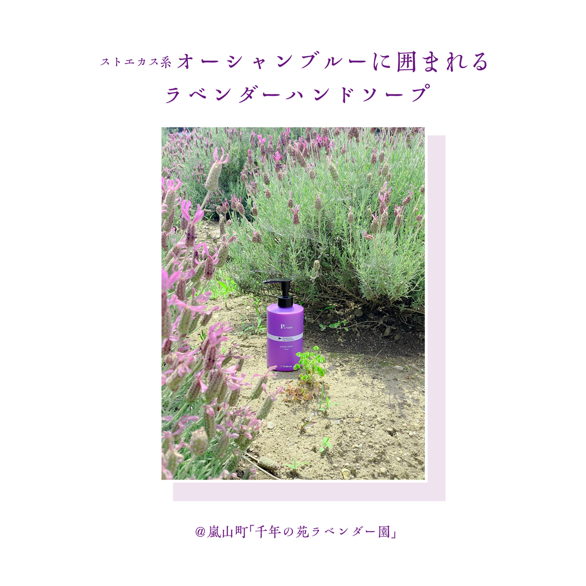ピーズルーツ　ラベンダーハンドソープ