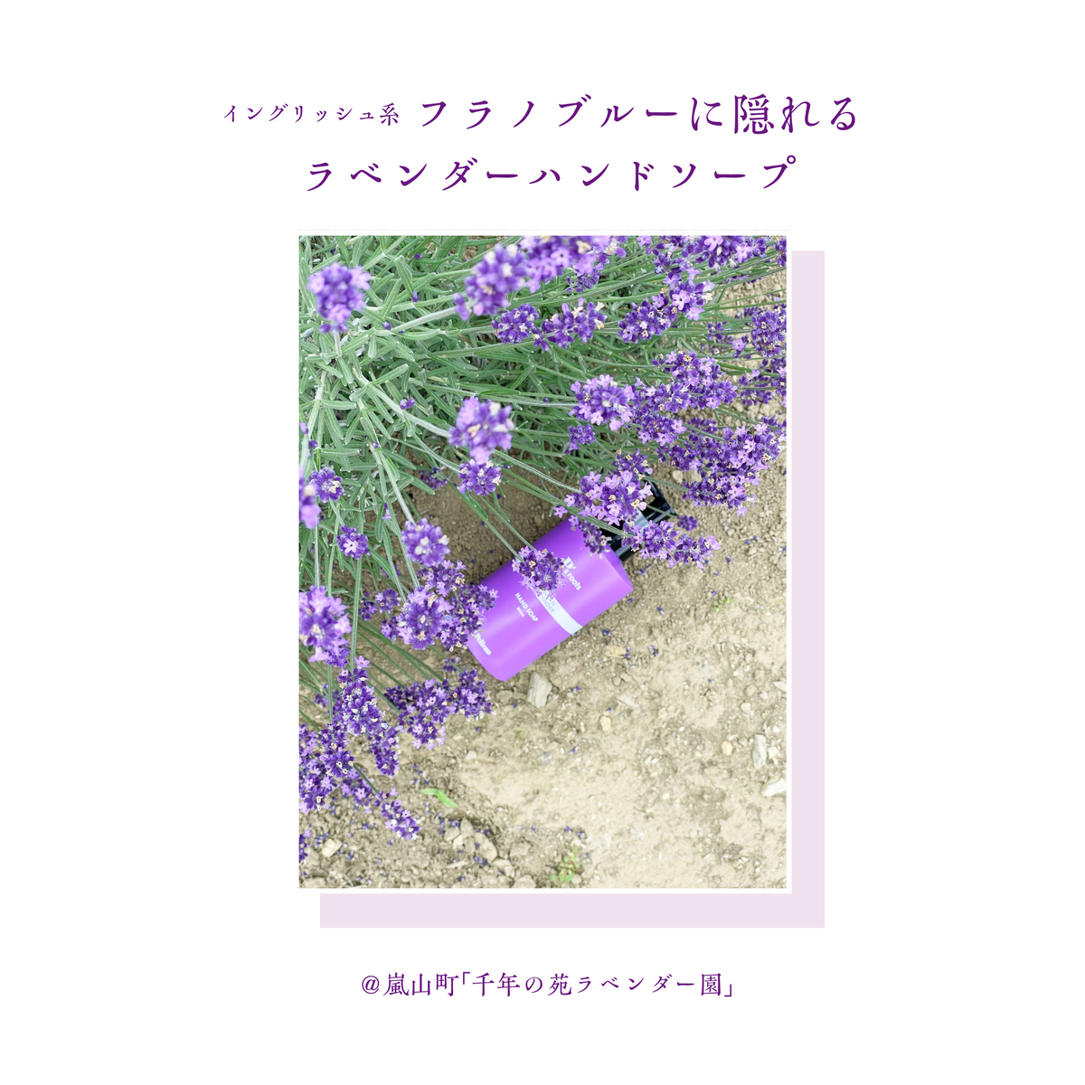 ピーズルーツ　ラベンダーハンドソープ