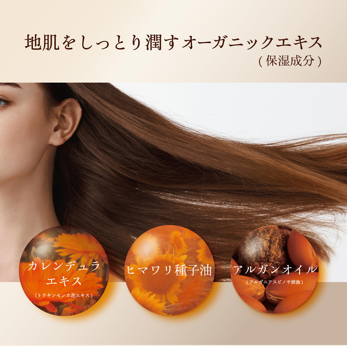 プロバンシアシュシュシャンプー