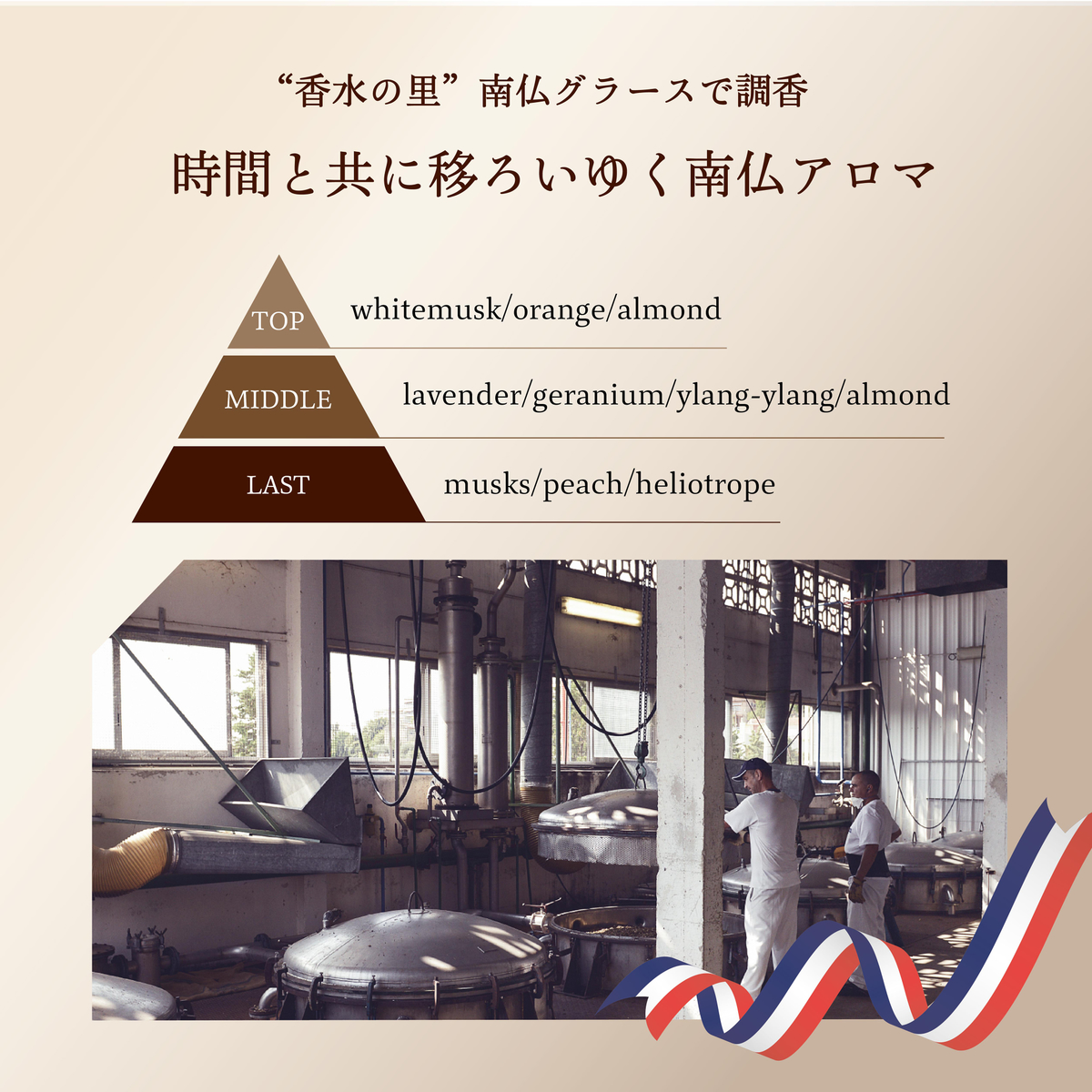 プロバンシアシュシュトリートメント