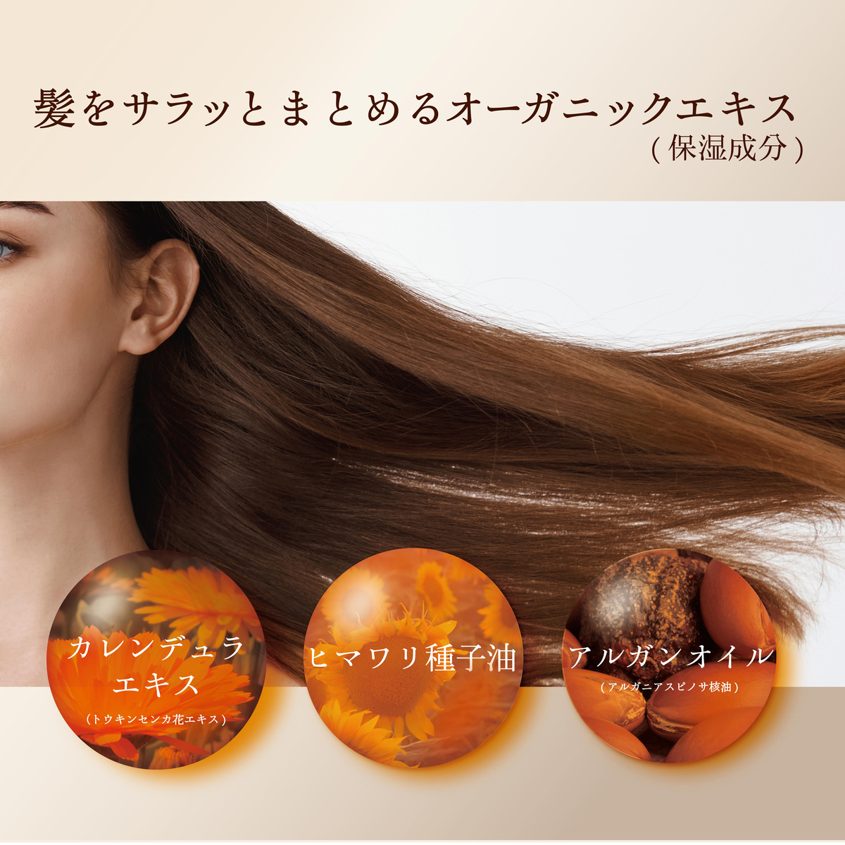 プロバンシアシュシュトリートメント