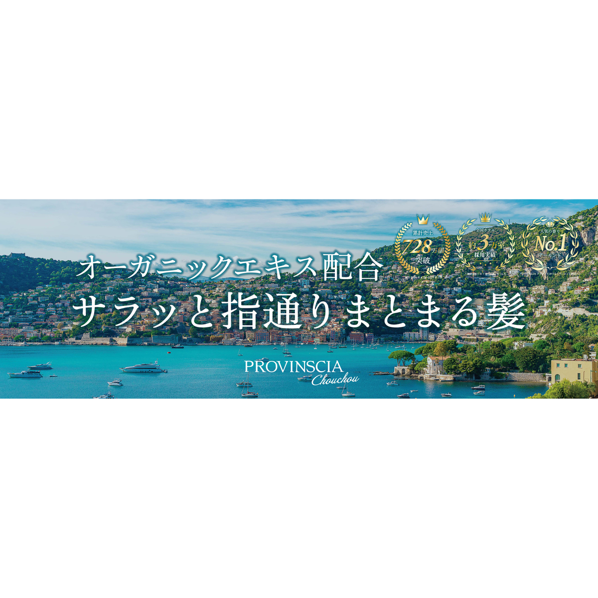 プロバンシアシュシュトリートメント