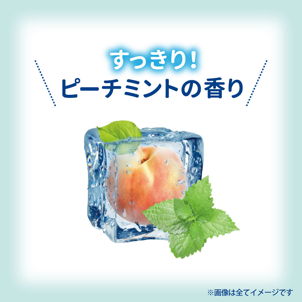 恋するおしりひんやりクール