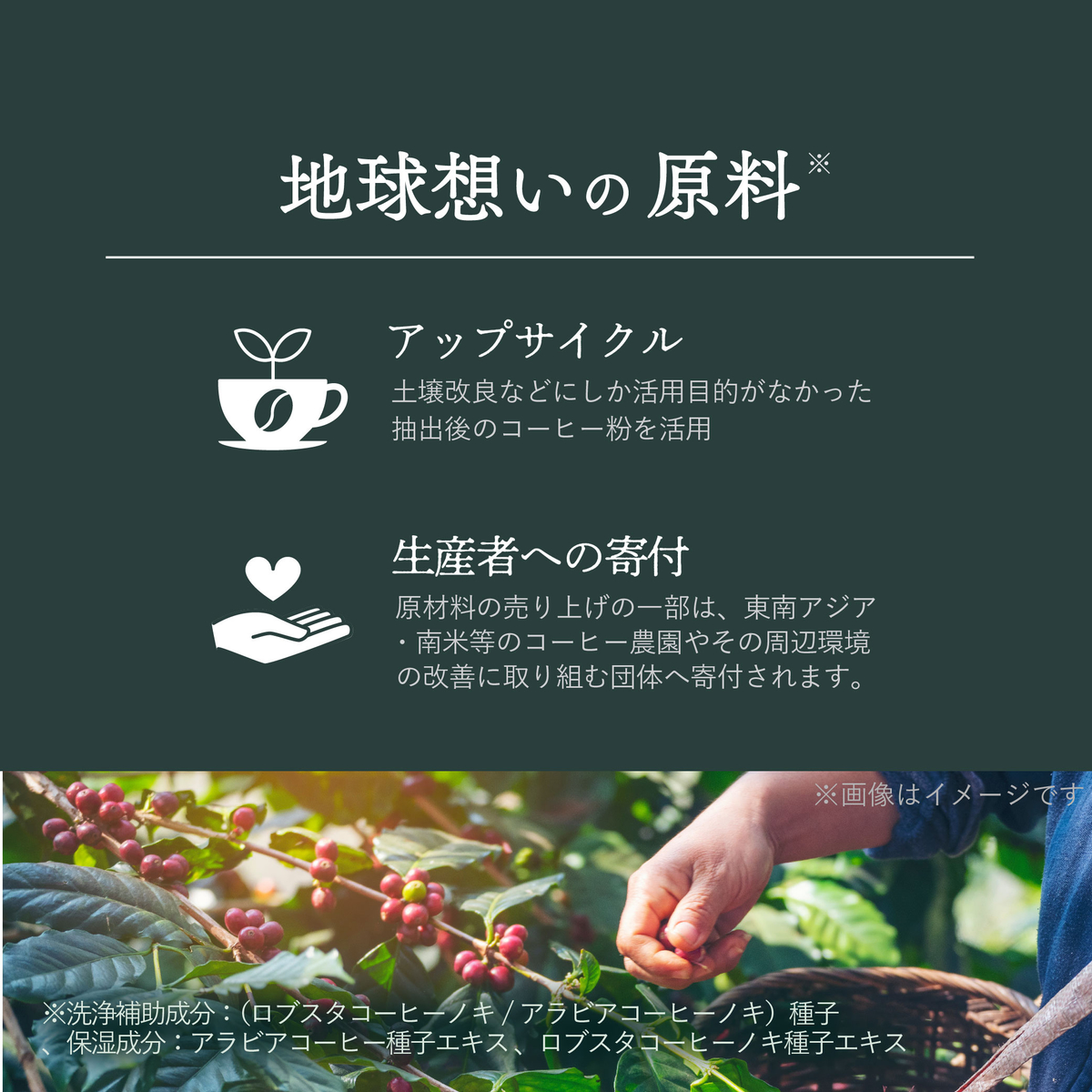 バスプレッソコーヒーボディスクラブ