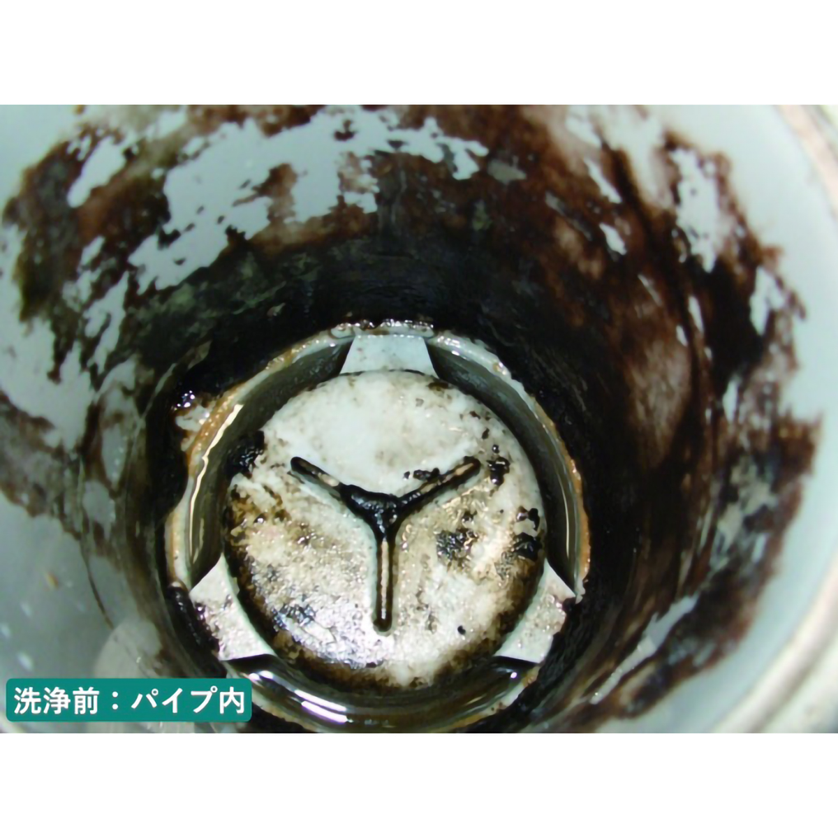 ル・プラス パイプ・洗濯槽クリーナー（１L）