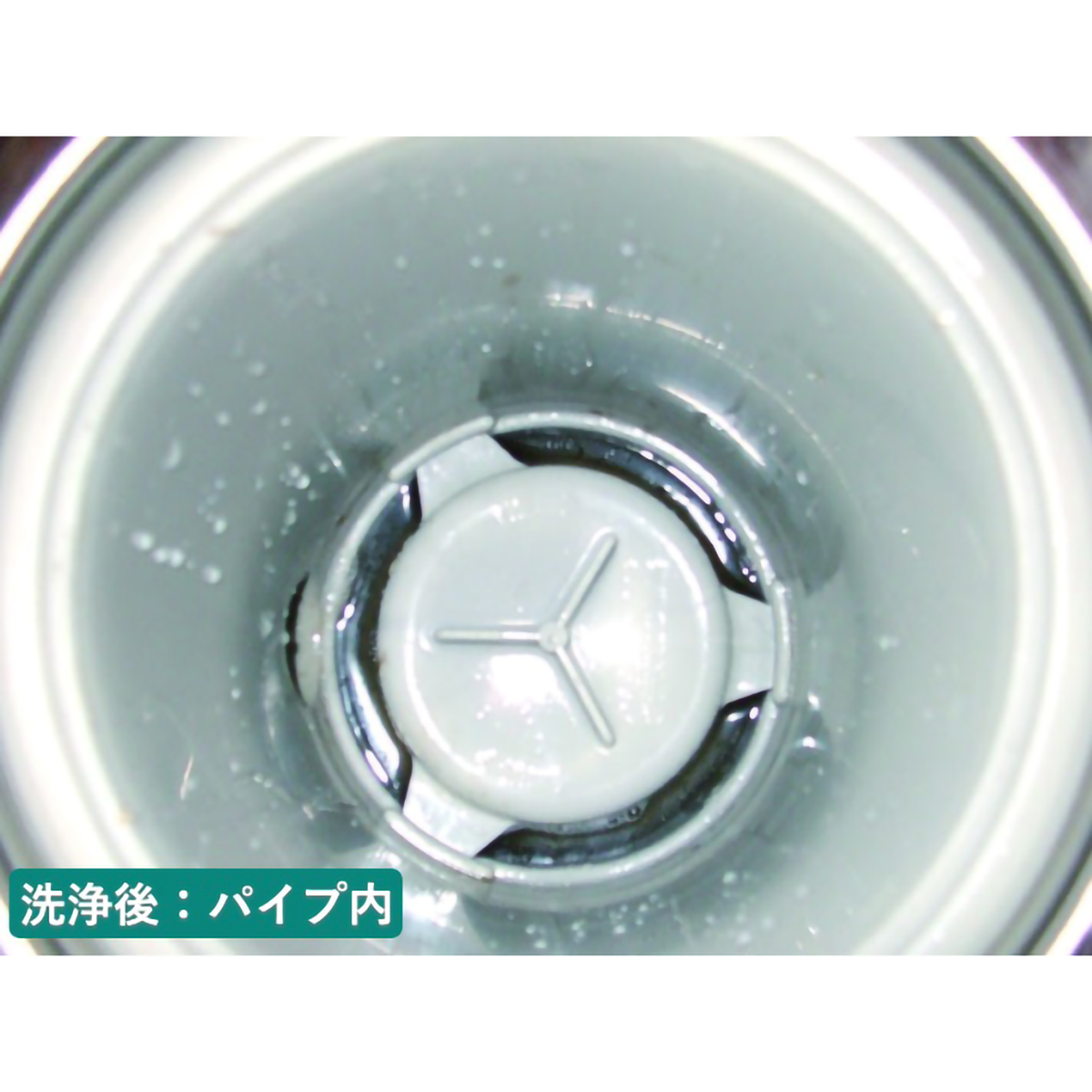 ル・プラス パイプ・洗濯槽クリーナー（１L）