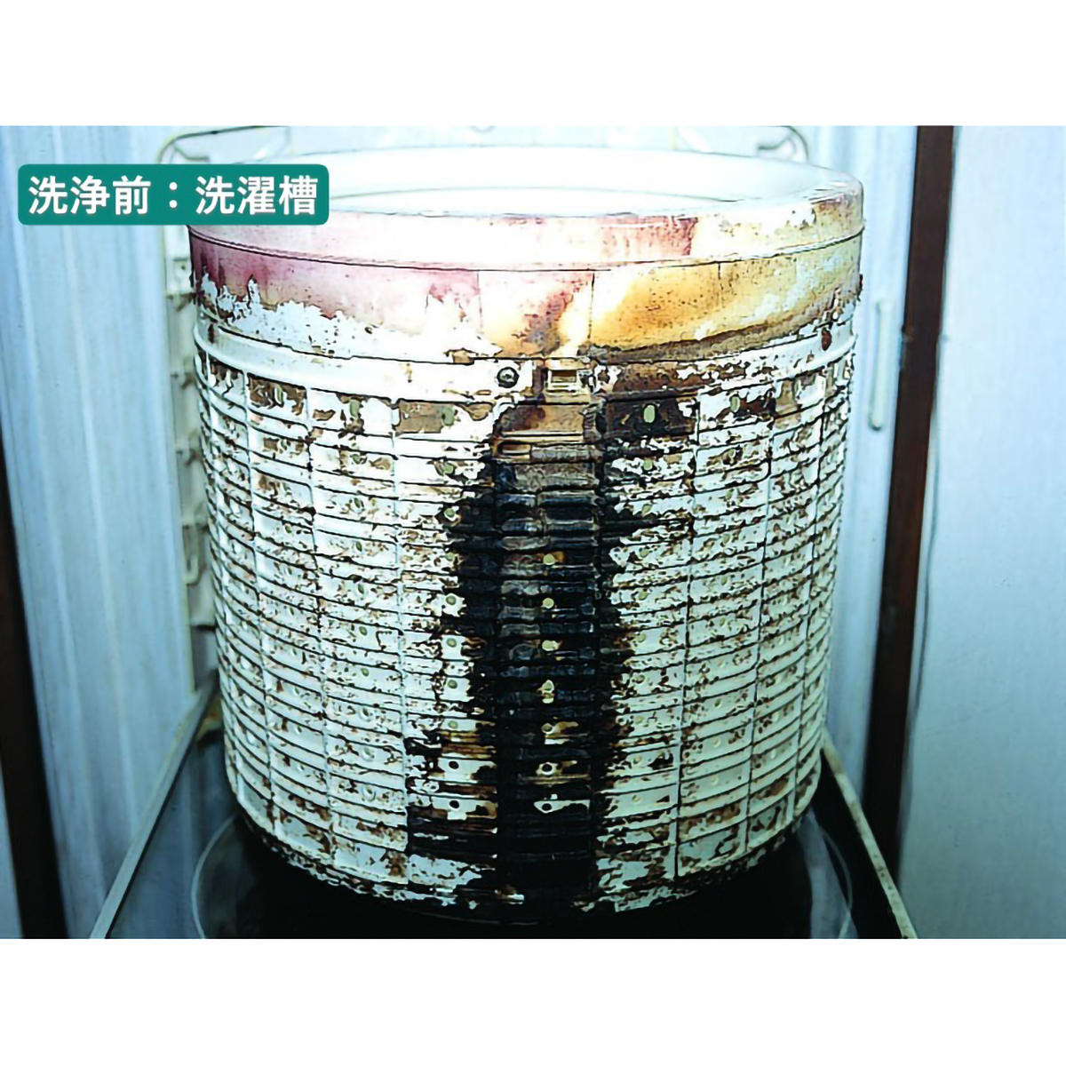 ル・プラス パイプ・洗濯槽クリーナー（１L）