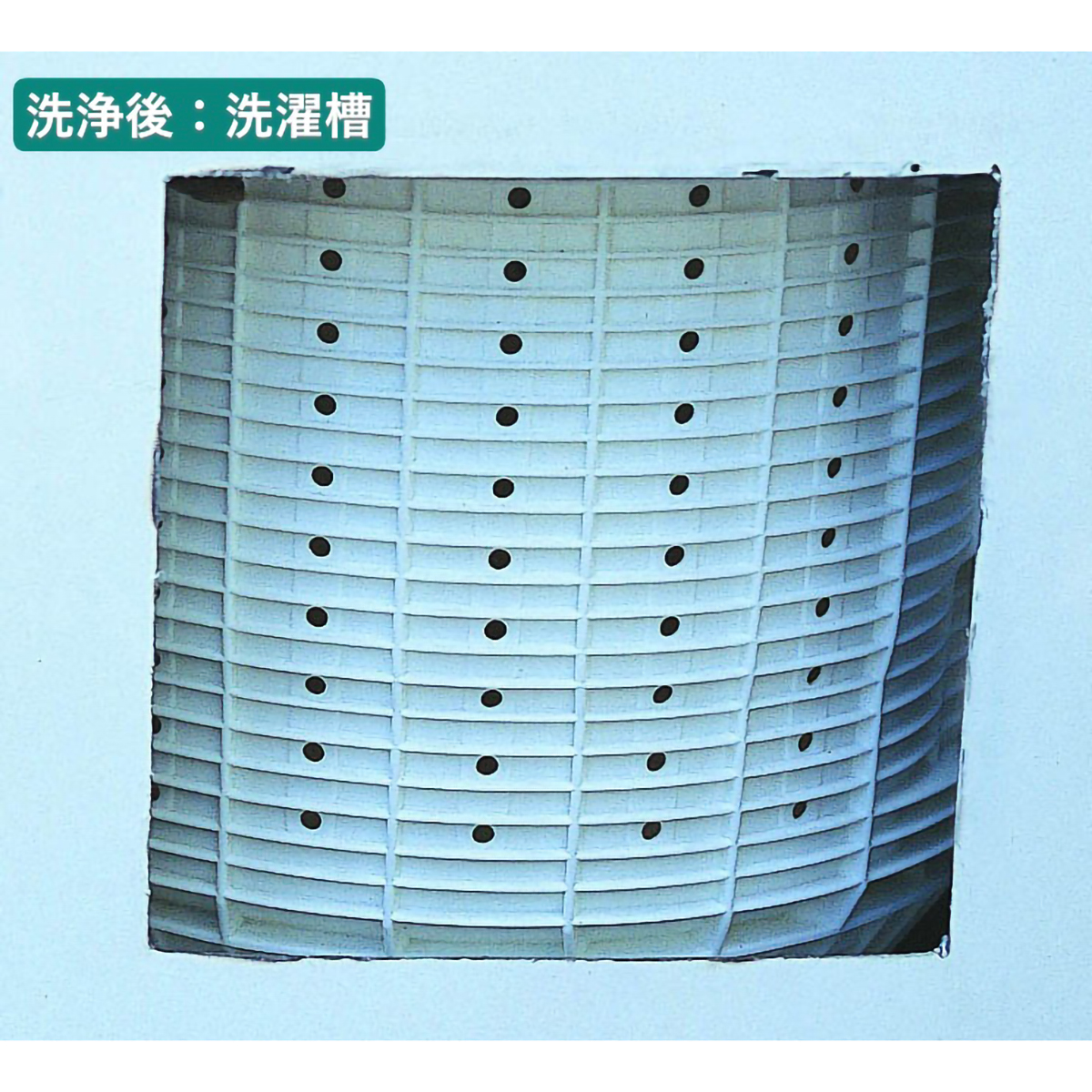 ル・プラス パイプ・洗濯槽クリーナー（１L）