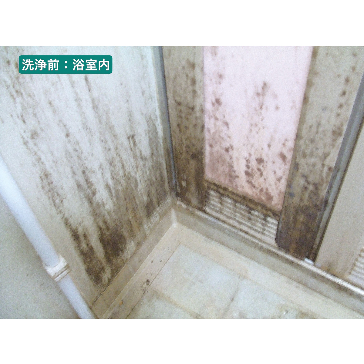 ル・プラス パイプ・洗濯槽クリーナー（１L）