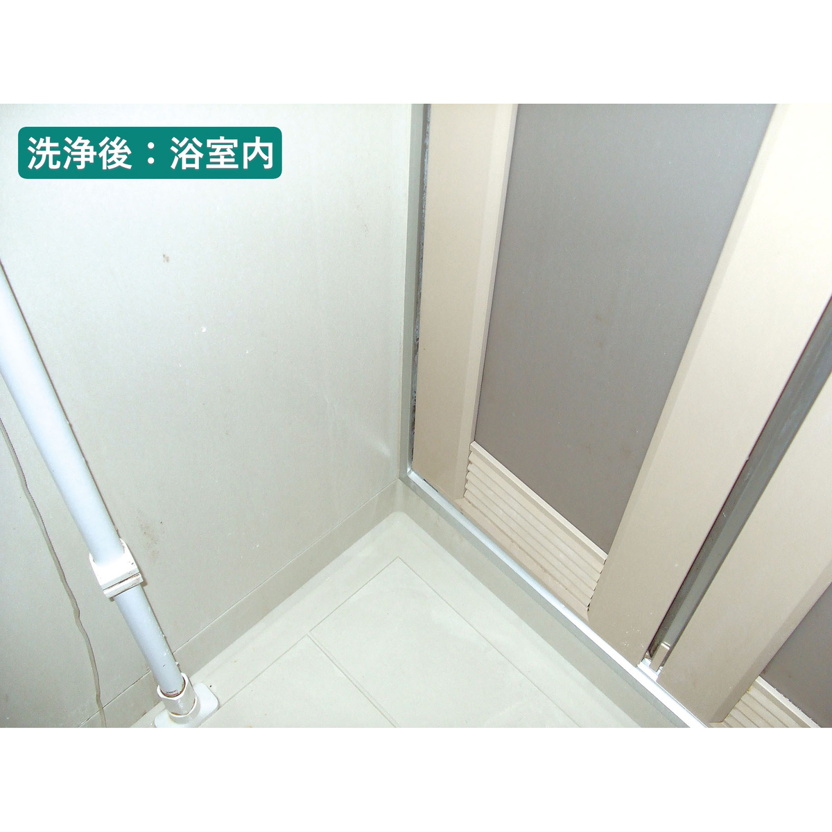 ル・プラス パイプ・洗濯槽クリーナー（１L）