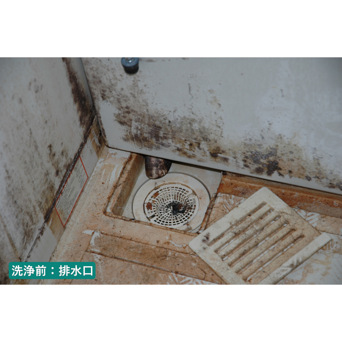 ル・プラス パイプ・洗濯槽クリーナー（１L）