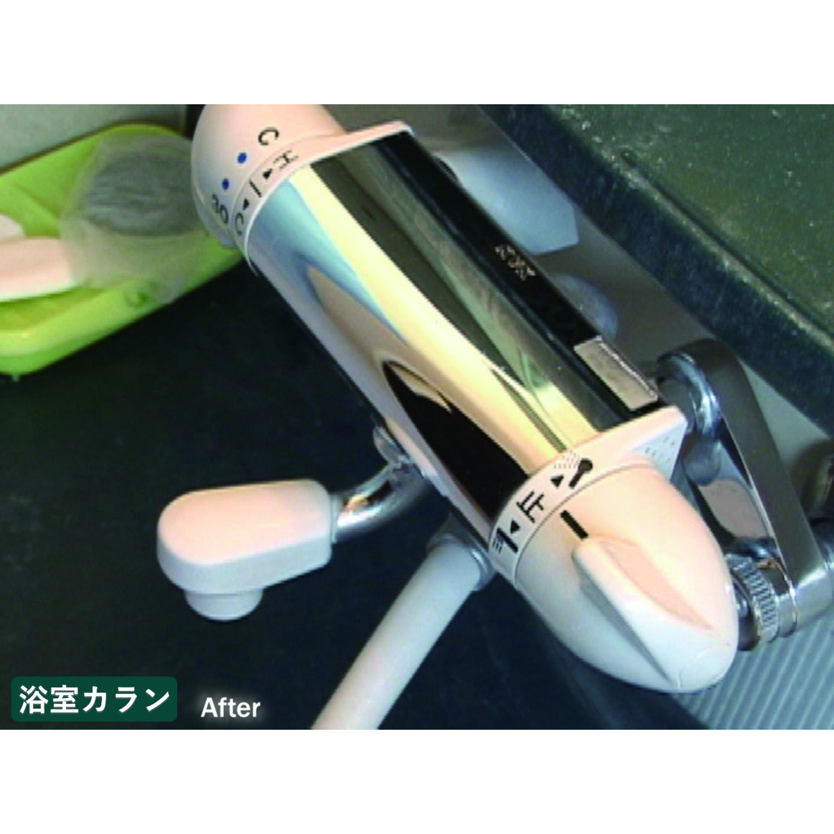 ル・プラス カルキ落としクリーナー(N・２５０ｇ)