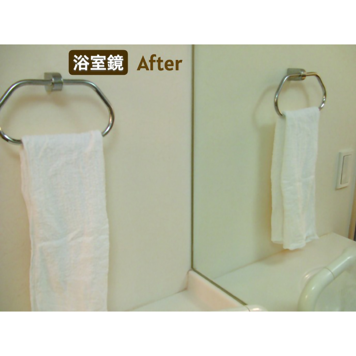 ル・プラス カルキ落としクリーナー(N・２５０ｇ)