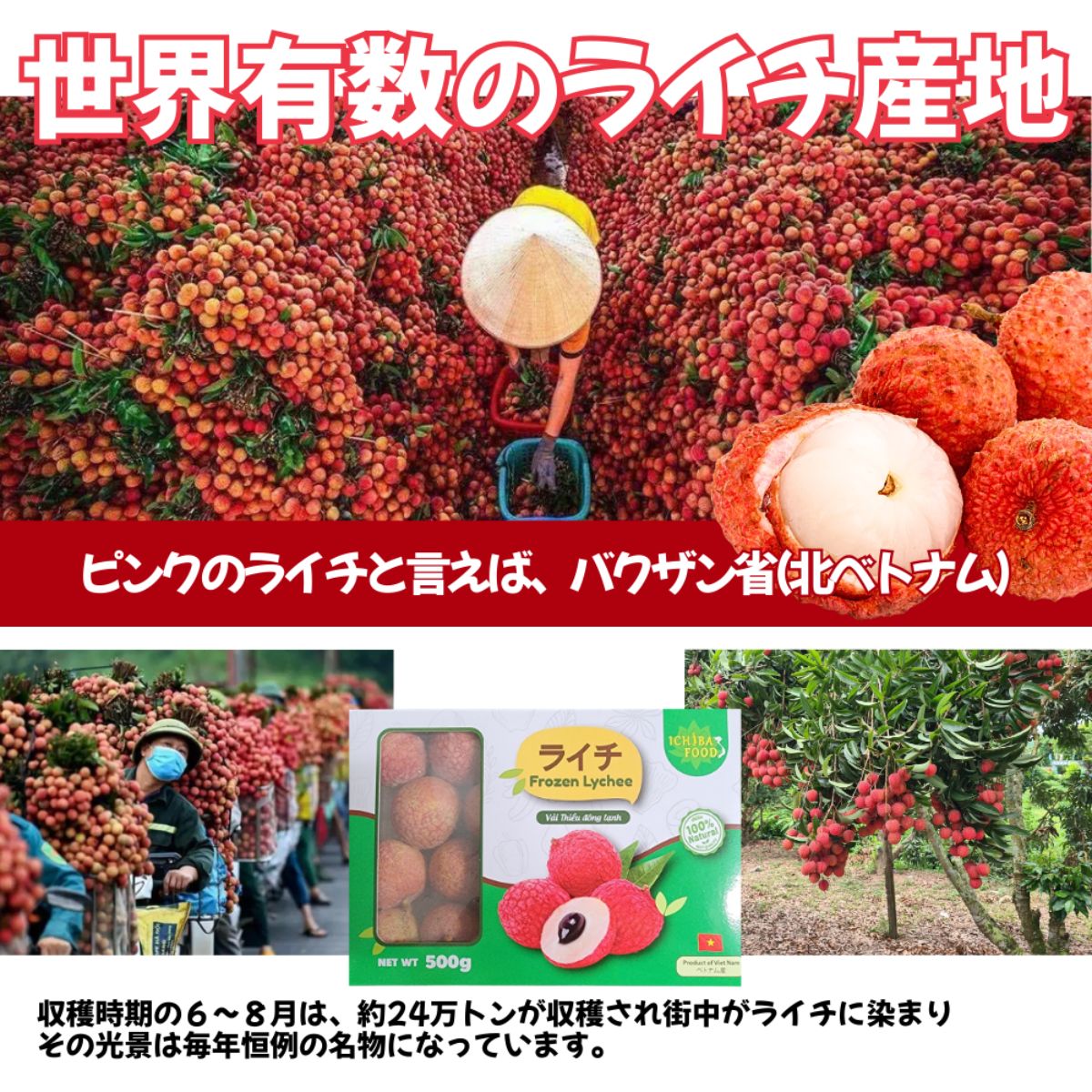 冷凍】ライチ500g 271015 | かぜとゆきオンラインショップ