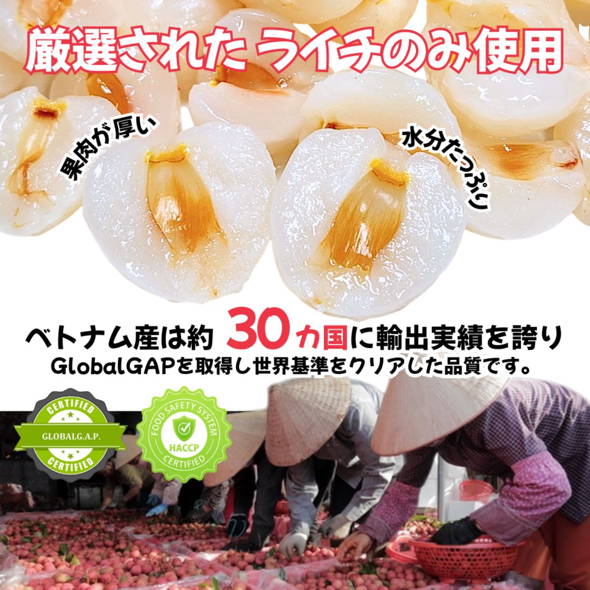 冷凍】ライチ500g 271015 | かぜとゆきオンラインショップ