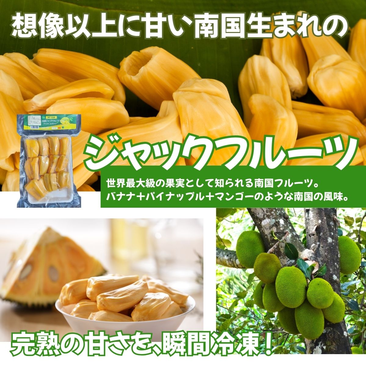 冷凍】ジャックフルーツ250g | かぜとゆきオンラインショップ
