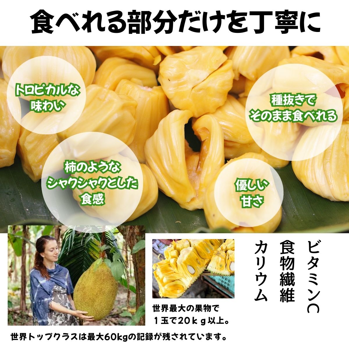 冷凍】ジャックフルーツ250g 280119 | かぜとゆきオンラインショップ
