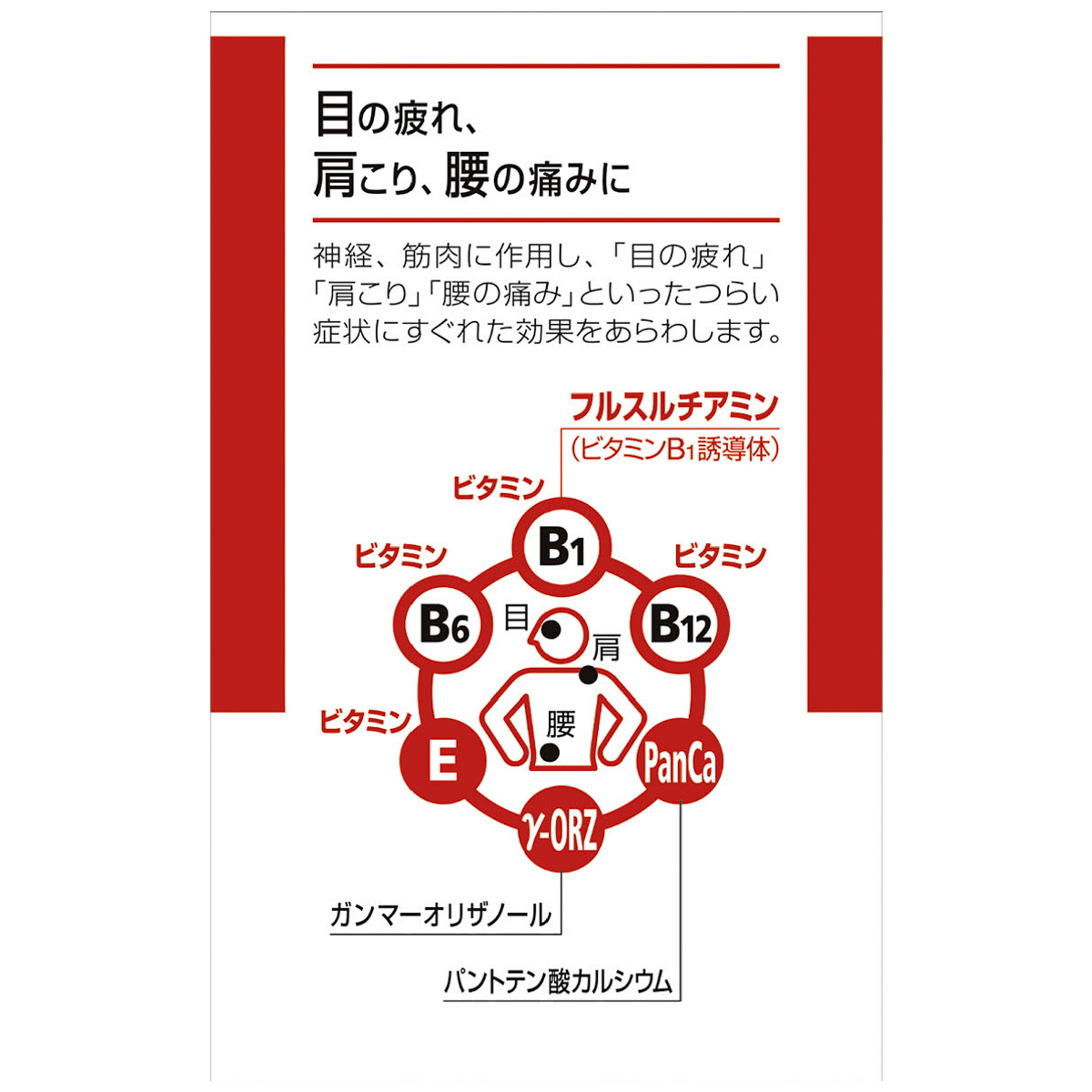 アリナミンＥＸプラス　１８０錠