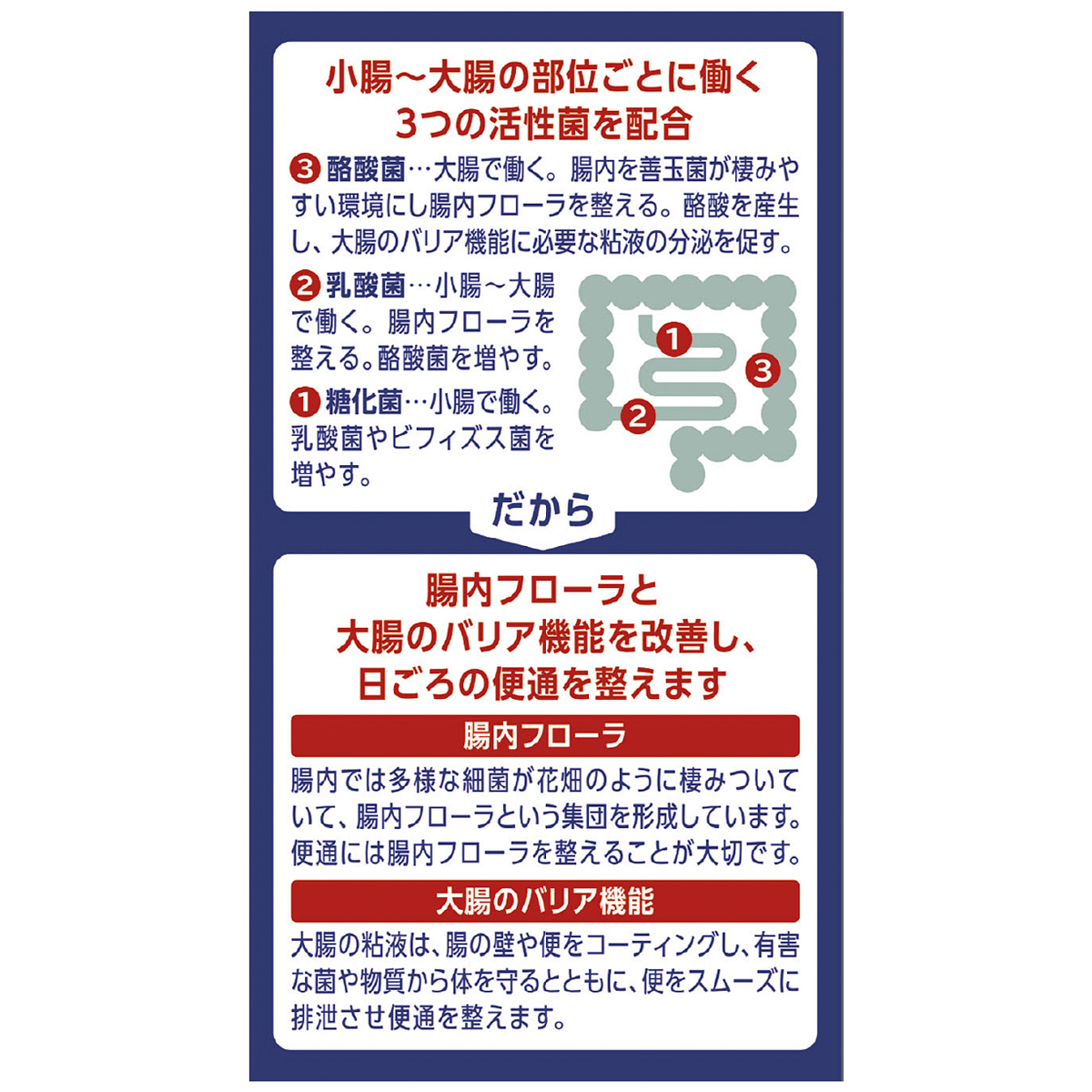 ビオスリーＨｉ錠　１８０錠