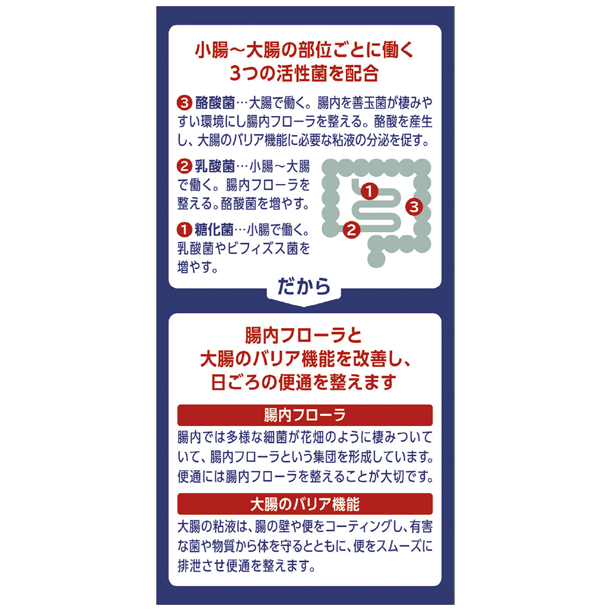ビオスリーＨｉ錠　２７０錠