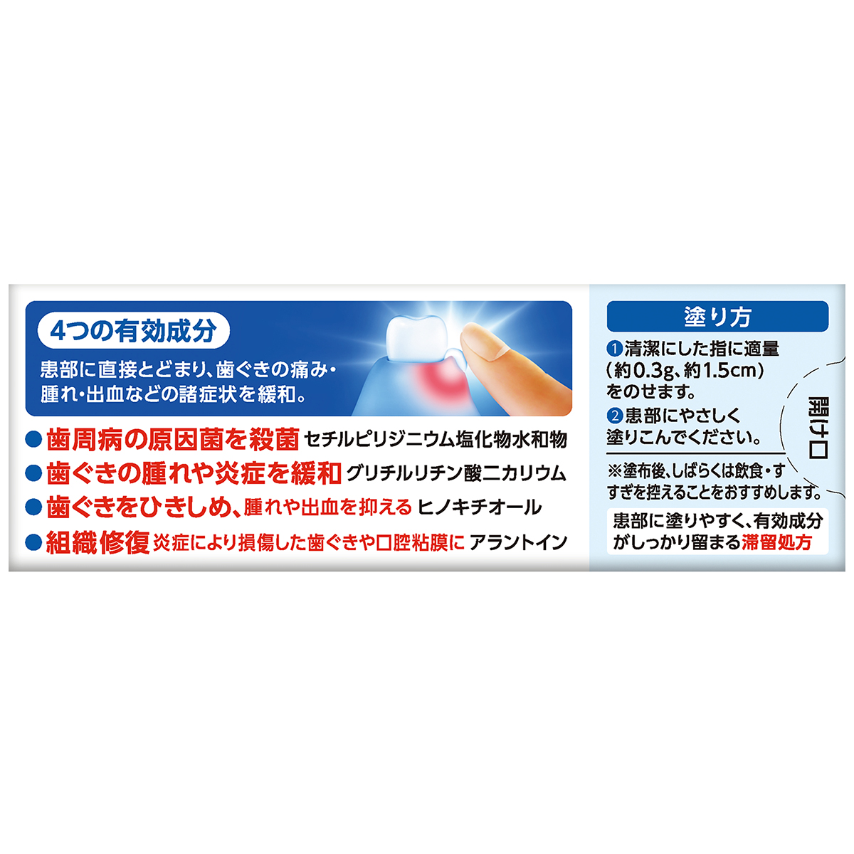 ライオン　デントヘルスＲ　１０Ｇ