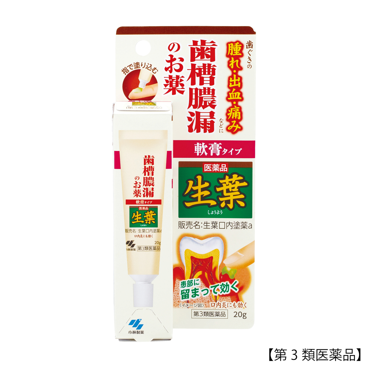 小林製薬　生葉口内塗薬　２０Ｇ