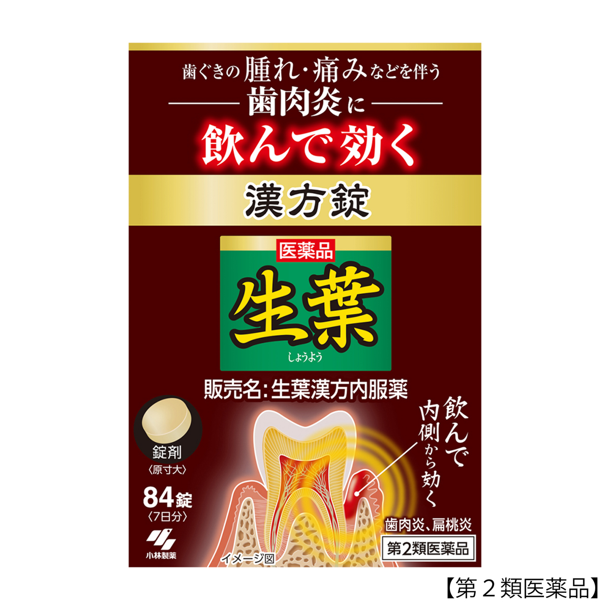 小林製薬　生葉漢方錠　８４錠