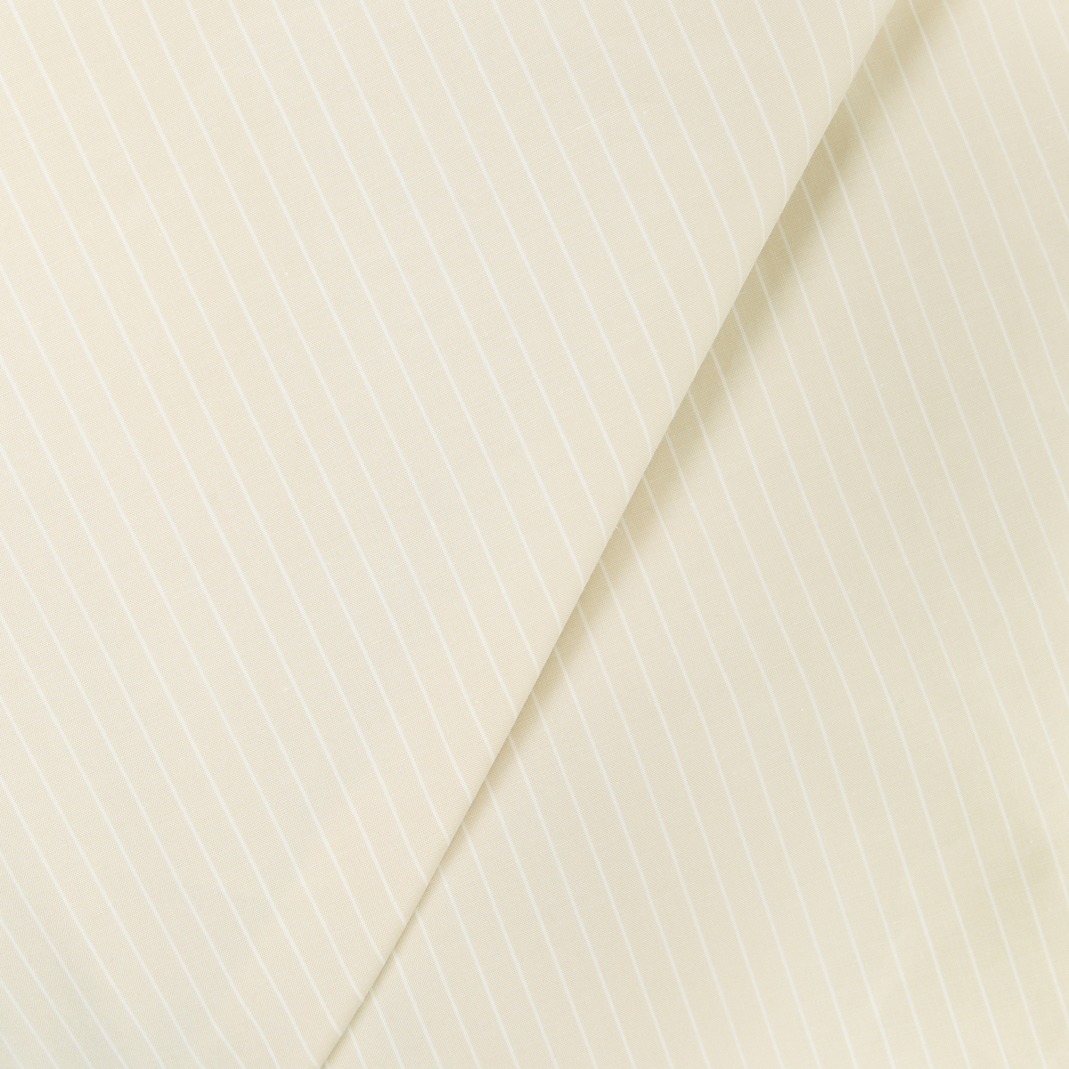 【レスピーギ】スーピマ綿ロングシャツ