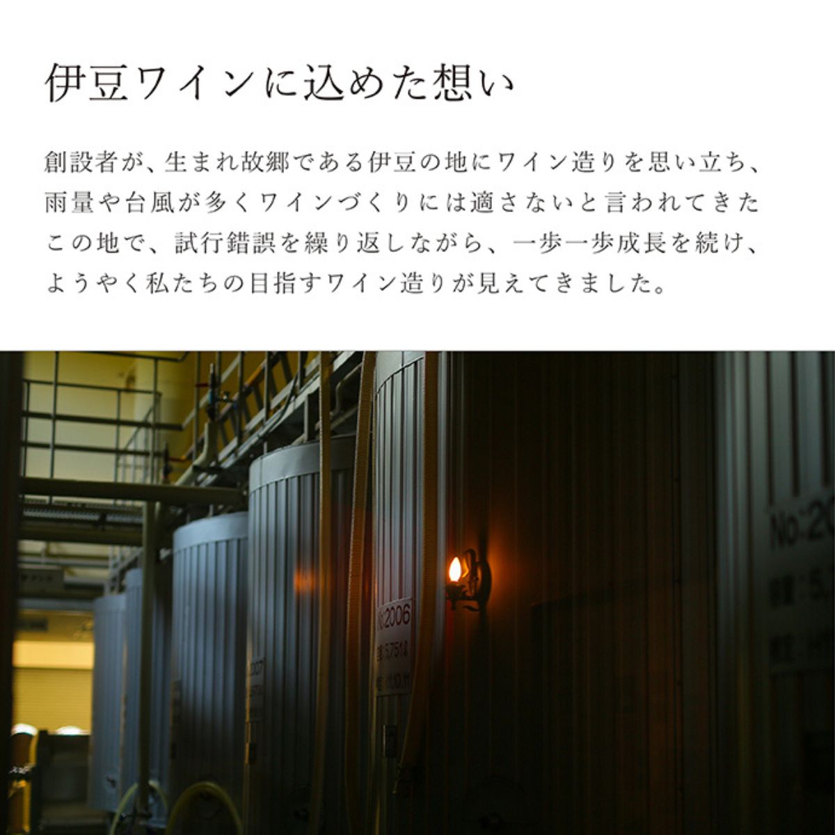 伊豆信濃リースリング辛口　2024　750ml【国産白ワイン　静岡県】