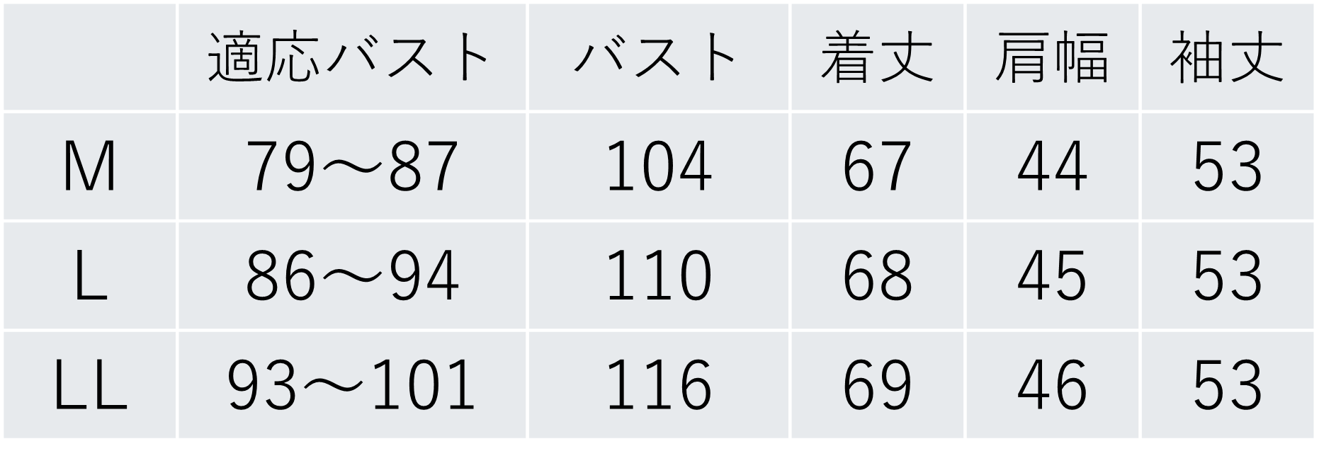 遠州織バンドカラーブラウス