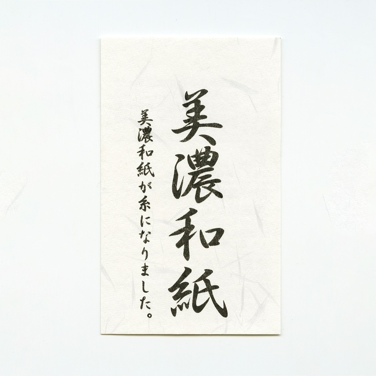 日本製美濃和紙ニット帽子３色組