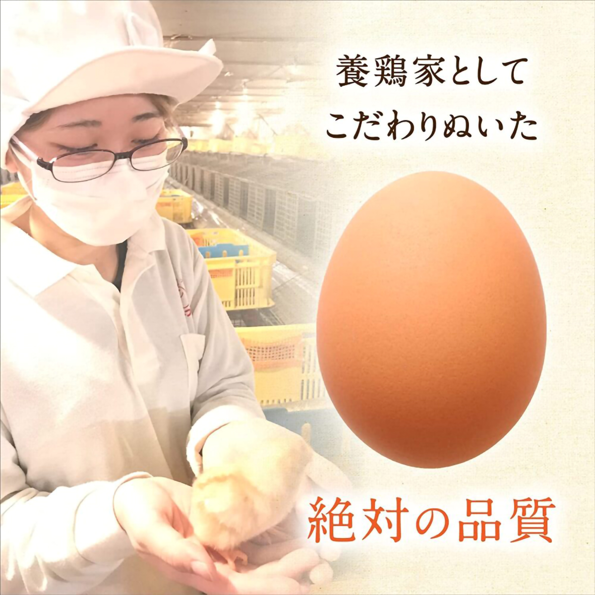 ひなたまこっこ生命のマヨネーズ 250gチューブ